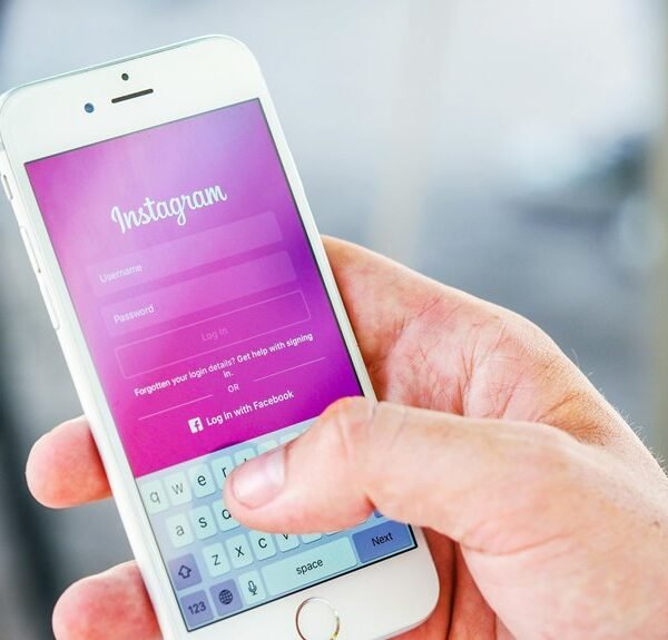 germinarte s online identity established