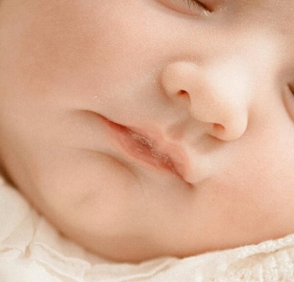 gespost key features overview