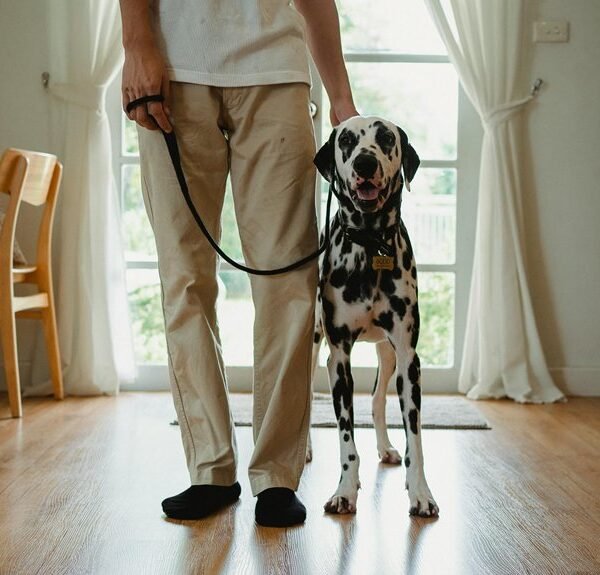 caller reputation assessment alerts