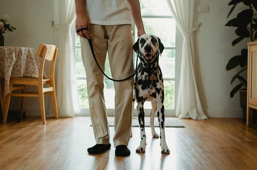 caller reputation assessment alerts