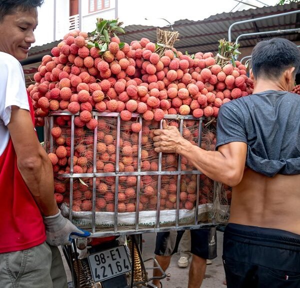 smart market authority boost