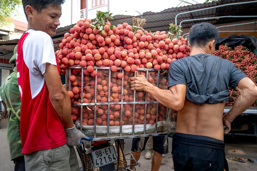 smart market authority boost