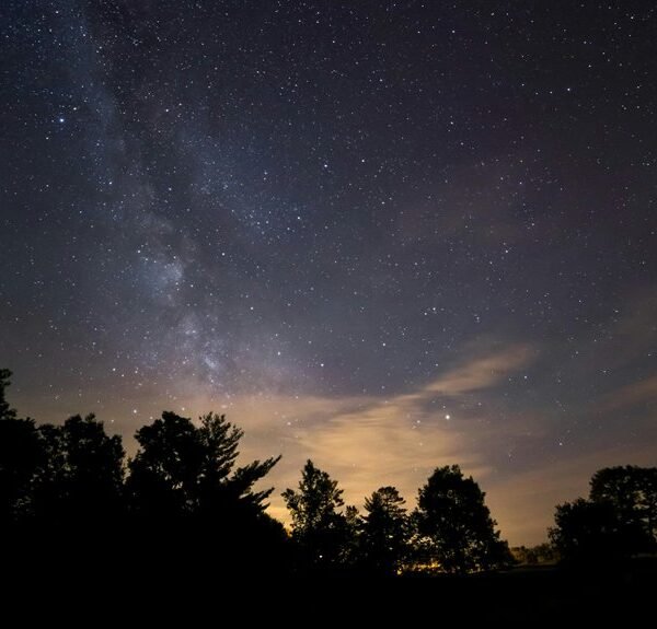 stellar horizon 651712818 insights