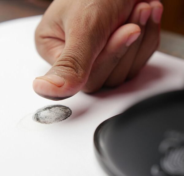 Digital Oversight Verification Sequence – 2097985335, 5416503568, 8446685125, 2874×24, 5162889758