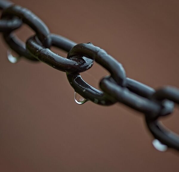 Integrated Infrastructure Validation Chain – 4197863583, 7047191306, 4186229613, 7809664570, 4186595264